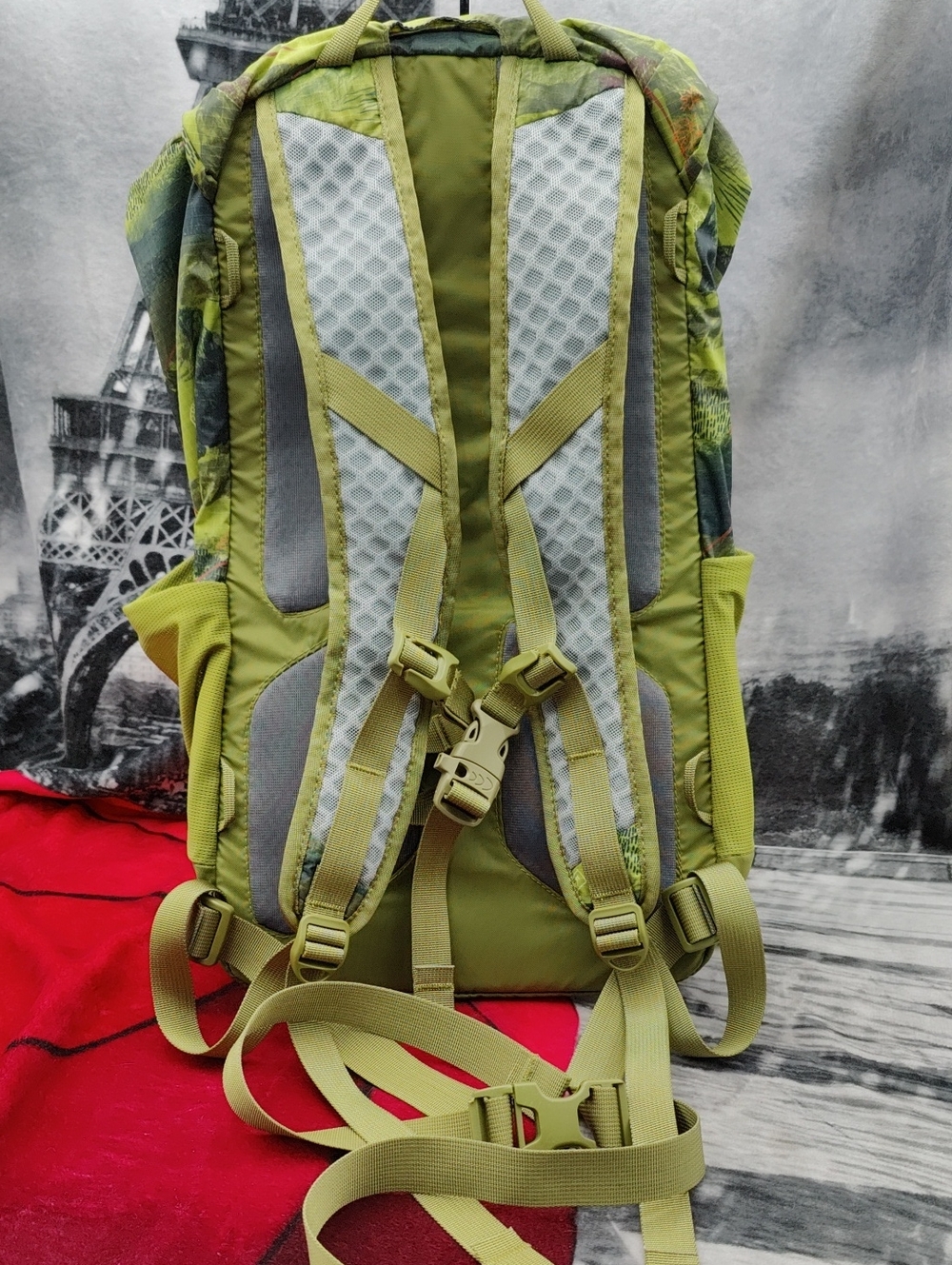 REI Co-op Flash 22 Print Back Pack - Picture 6 of 9